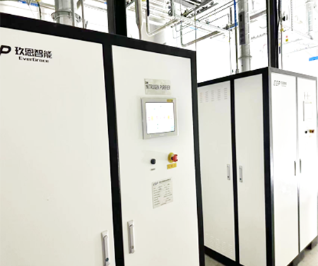 淮安某十二寸线310CMH氮气纯化器