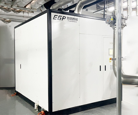 武汉某十二寸线5000CMH XCDA纯化器