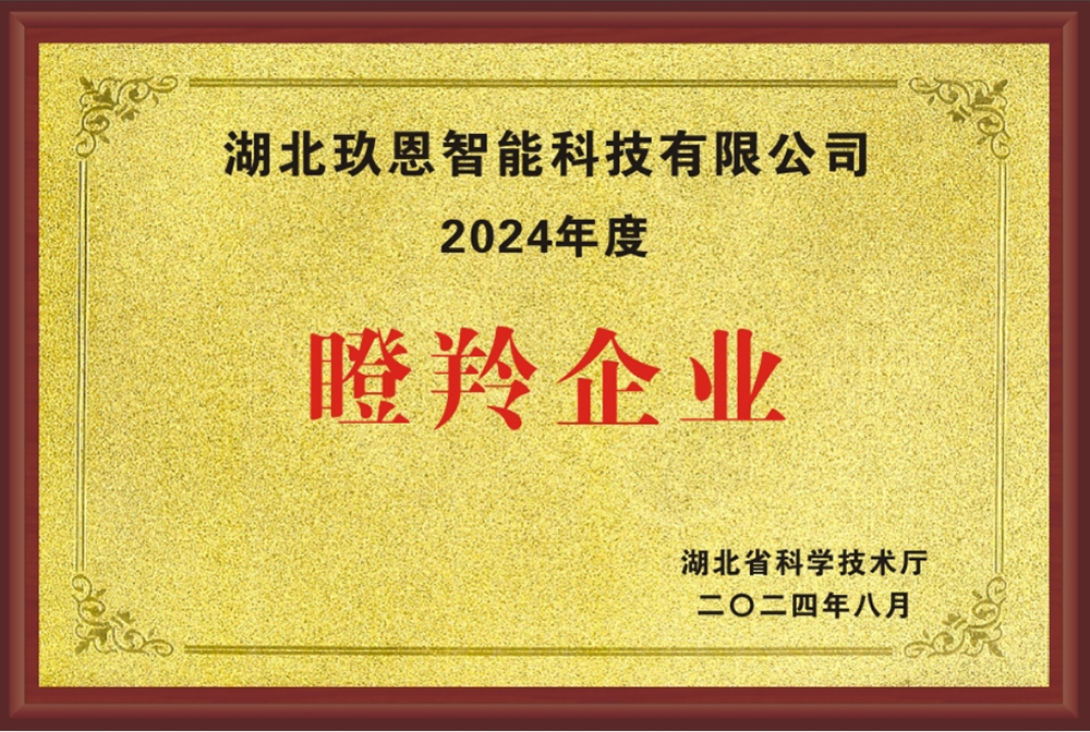 湖北玖恩智能科技有限公司